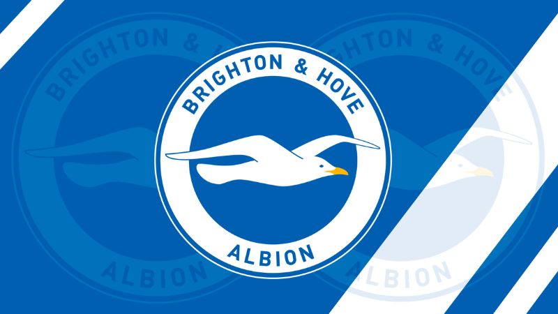 Giới thiệu tổng quát về Brighton & Hove Albion
